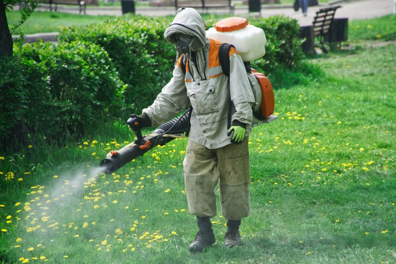 Lawn Insect Spraying