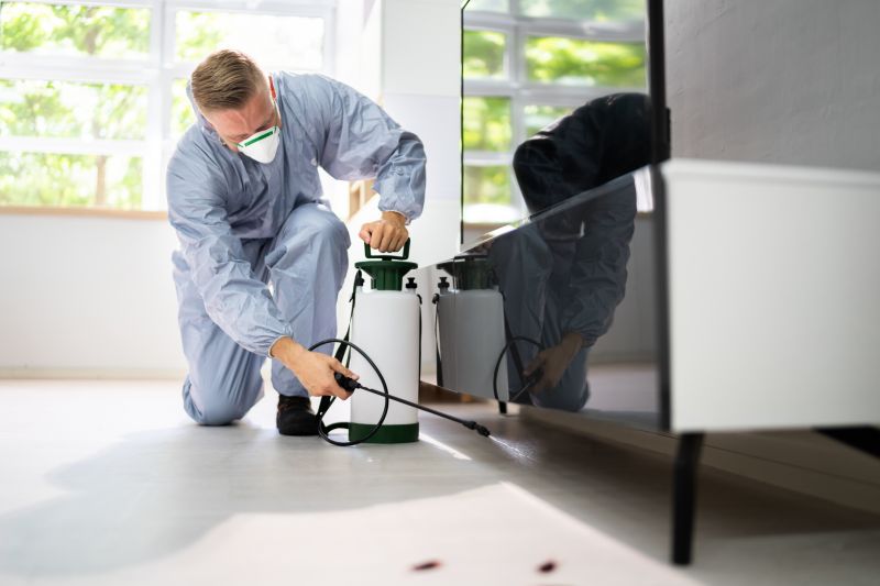 Specialized Pest Removal Experts